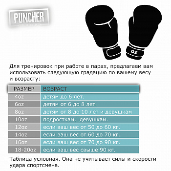 Перчатки боксёрские Beginning черные