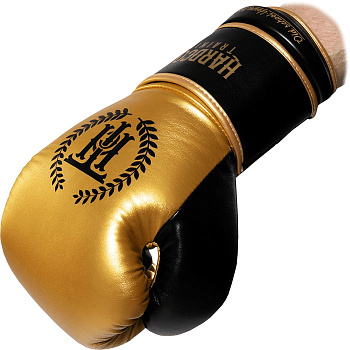 Боксерские перчатки Hardcore Training Revolution Gold/Black PU