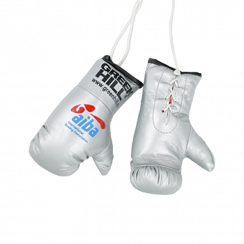 AG-1008a Сувенирные боксерские перчатки AIBA серебристые (ONE SIZE)