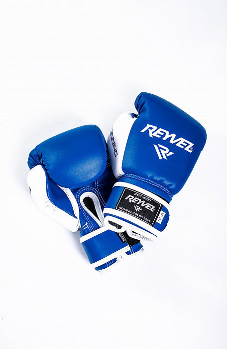 Перчатки боксёрские Beginning синие
