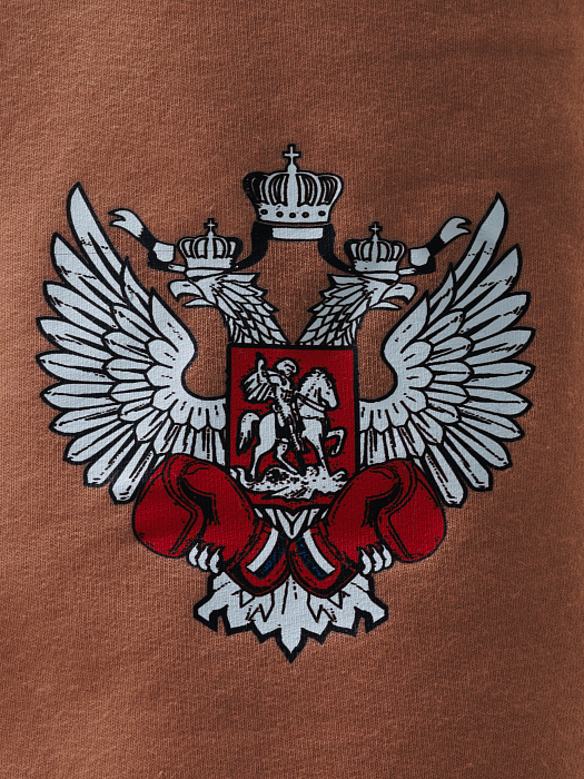 Комплект Футболка+Шорты ФБ России (черн., корич.)