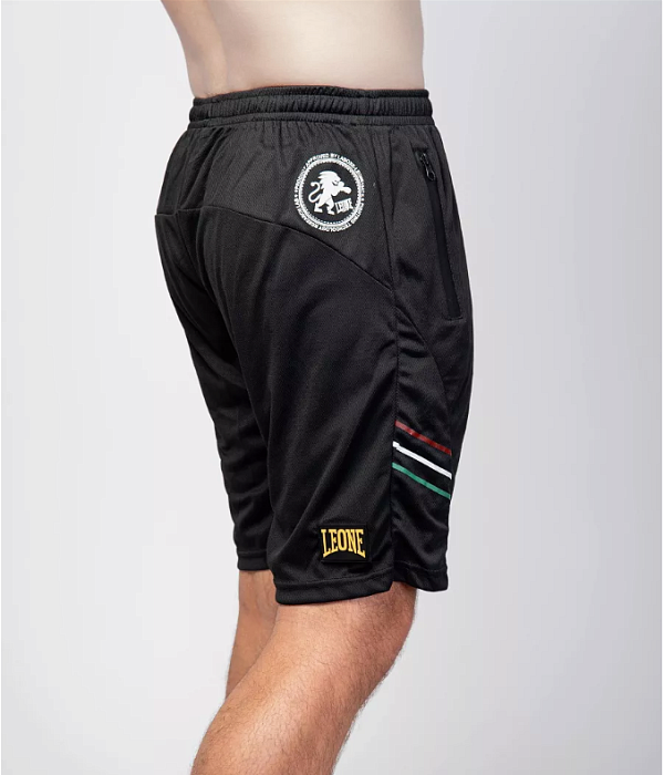 Спортивные шорты FLAG SHORTS, ABX812