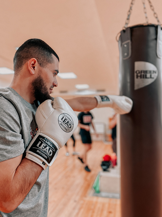 Перчатки боксерские Elite Gloves 3.0 (White Black Silver)