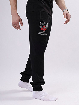 Спортивные штаны ФБ РТ 4.0 черный
