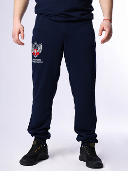 Спортивные штаны ФБ РТ 3.0 т. синии