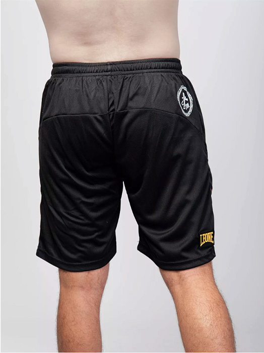 Спортивные шорты FLAG SHORTS, ABX812