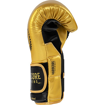 Боксерские перчатки Hardcore Training Revolution Gold/Black PU