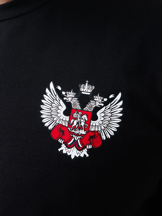 Комплект Футболка+Шорты ФБ России (черн., корич.)