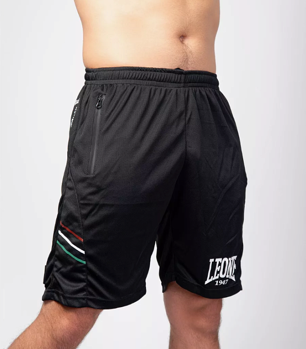 Спортивные шорты FLAG SHORTS, ABX812