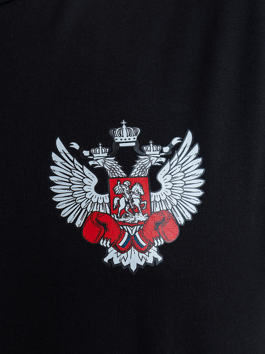Комплект Футболка+Шорты ФБ России (черн., беж.)