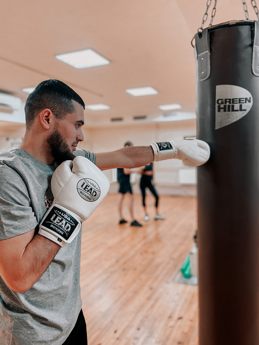 Перчатки боксерские Elite Gloves 3.0 (White Black Silver)