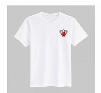 Футболка Puncher ФБ России 5.0 белая