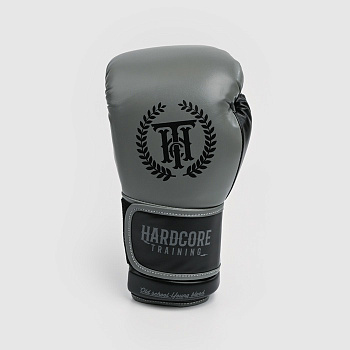 Боксерские перчатки Hardcore Training Revolution Gray/Black PU 